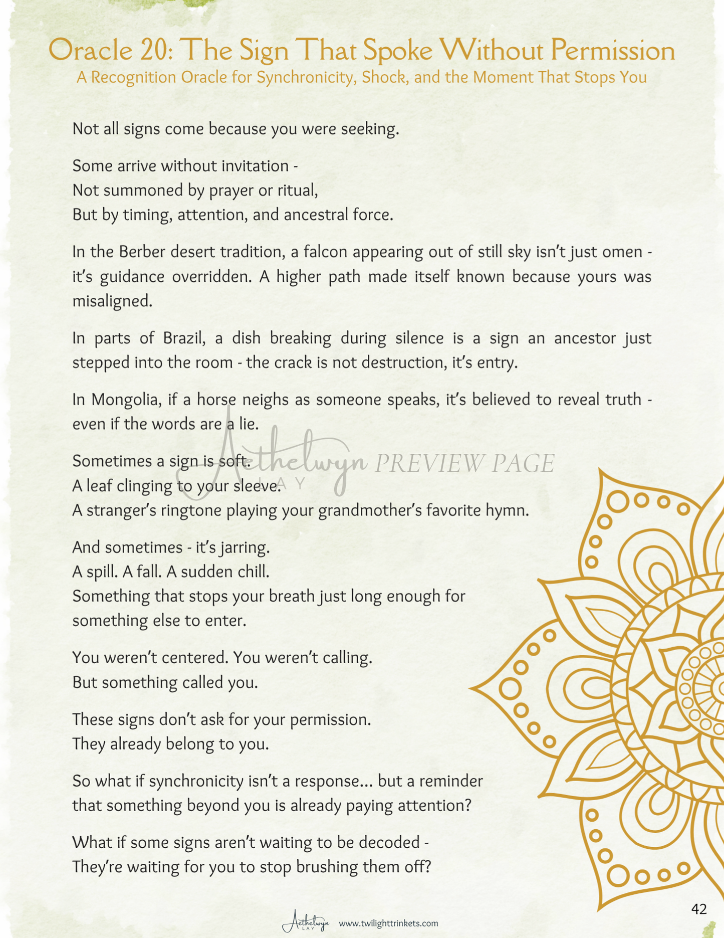 Everyday Oracles - A Guide to Seeing in the Ordinary
