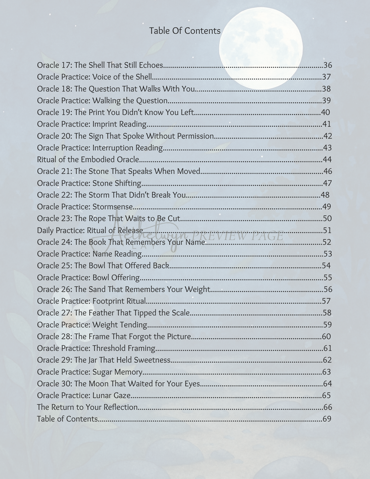Everyday Oracles - A Guide to Seeing in the Ordinary